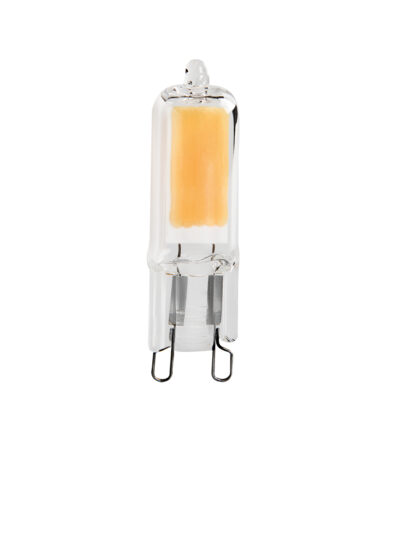 G9 GLASS LED2W-WW