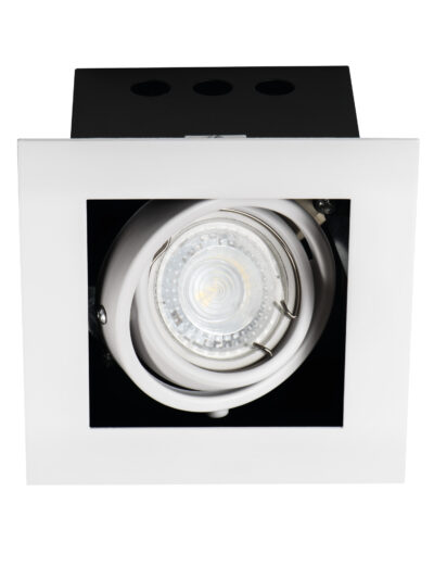 MERIL DLP-50-W
